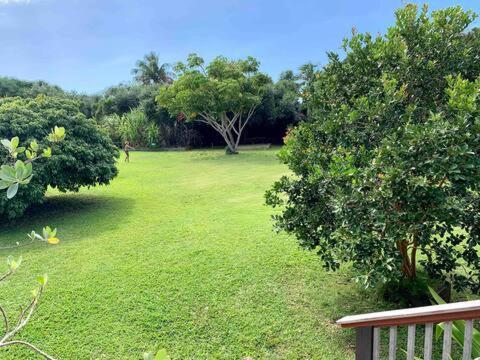 North Shore Garden Suite Haleiwa Exteriér fotografie